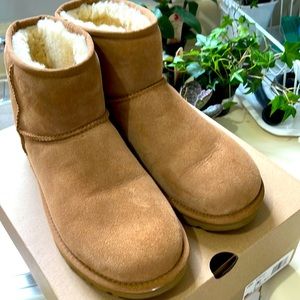 Ugg Classic Mini II